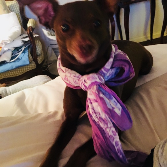 Meet your Posher, Steven - Picture 3 of 3